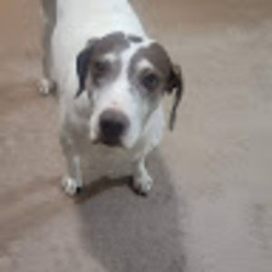 Meet your Posher, Carla